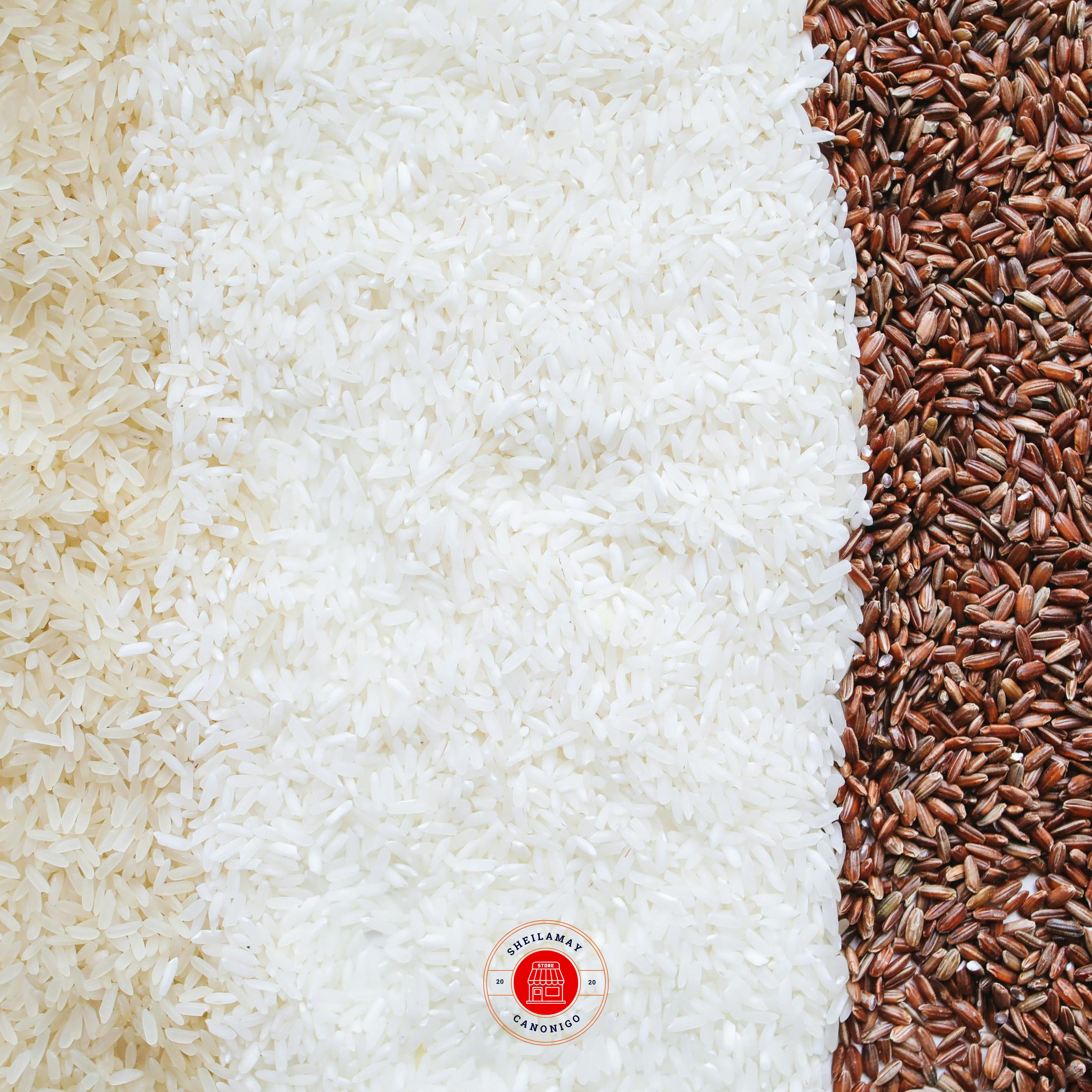 Rice